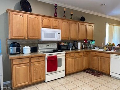 8360 Silver Birch Way, Lehigh Acres, FL 33971 - photo 5