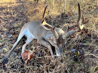 000 Enon Rd, Bolivar, TN 38008 - photo 6