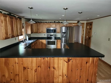 8621 W Bucktooth Run, Little Valley, NY 14755 - photo 4