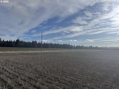 0 Rd unit 2, Centerville, WA 98613 - photo 6