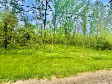 0 Lot C Willow, Lansing, MI 48917 - photo 3
