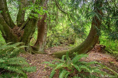 15816 Vashon Hwy SW, Vashon, WA 98070 - photo 5