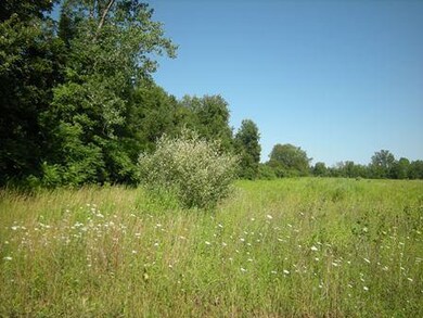 Land/Lot