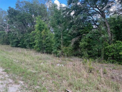 00 SW 108th St, Dunnellon, FL 34432 - photo 4