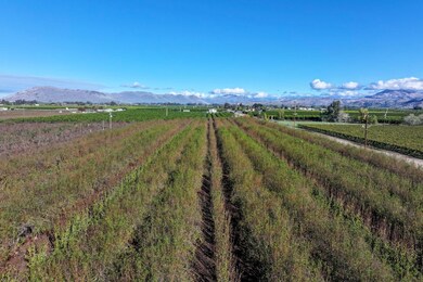 0 S Crawford Ave, Reedley, CA 93654 - photo 6