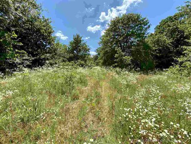 2933 S County Line Rd, Overbrook, OK 73453 - photo 4