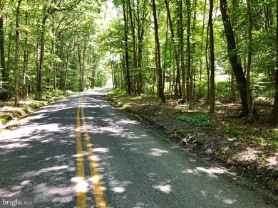 0 Lovers Ln, 7, Pomona, MD 21620 - photo 4