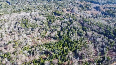 Map 04 Lots #2-15 2-16 Yellow Birch Rd, Whiting, ME 04691 - photo 6