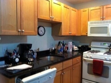 1172 Massachusetts Ave unit 10, Cambridge, MA 02138 - photo 3