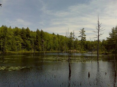 89 Montgomery Rd, Salisbury, NH 03268 - photo 5