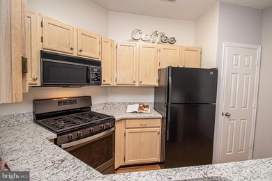 14314 Climbing Rose Way unit 102, Centreville, VA 20121 - photo 3