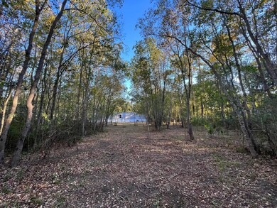 46 County Road 408, Dayton, TX 77535 - photo 7