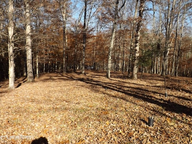 TBD Rt 516 Old Cross Rd, Pineville, KY 40977 - photo 5