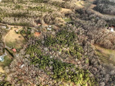 9.22 Ac Douthit Rd, Mineral Bluff, GA 30559 - photo 7