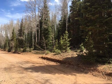 0 5 Ac Dry Lakes Rd unit Green Meadow Acres, Brian Head, UT 84719 - photo 6