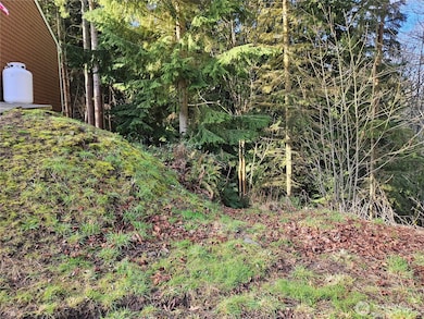 9999 E 5th St Lots 9-12 Blk 186, Port Angeles, WA 98362 - photo 3