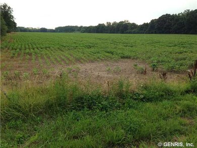 Land/Lot