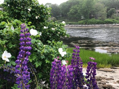38 Long Cove Point Rd, Chamberlain, ME 04541 - photo 4