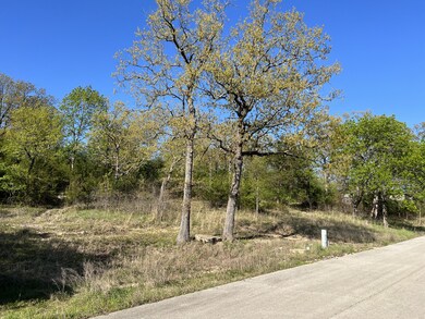 131 Oregon Ln, Ruth B Rural Township, MO 65686 - photo 5