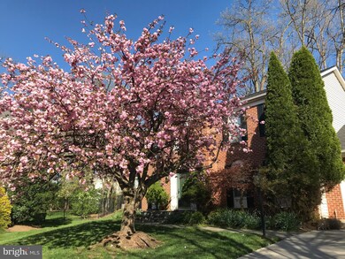 6 Pissaro Ct, North Potomac, MD 20878 - photo 6