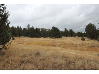 7 Running Buck Rd, Long Creek, OR 97856 - photo 5