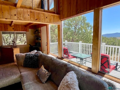 20 Village Rd, Silver City, NM 88061 - photo 5