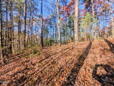 Lot 483 School House Gap Rd, Sevierville, TN 37876 - photo 5