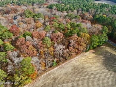 0 Williams St, Williamston, NC 27892 - photo 7