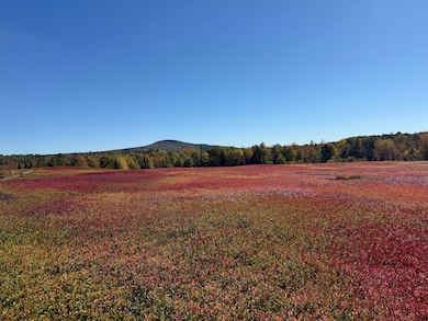 MAP31LOT29 Land-Perkins, Blue Hill, ME 04614 - photo 3