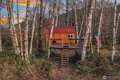 250 Cedar Grove Rd, Randle, WA 98377 - photo 4