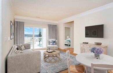 11205 Peters Farm Way unit 205, Westborough, MA 01581 - photo 5