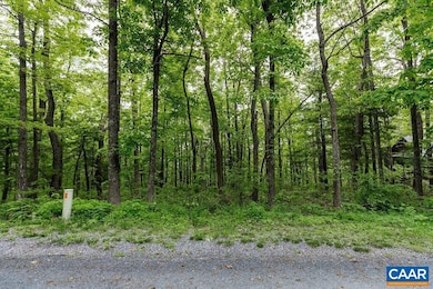 7 & 23 Wolftrap Ln, Wintergreen Resort, VA 22967 - photo 2