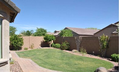 Beautiful backyard