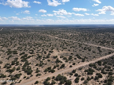 pic5.dji_fly_20231028_115840_234_1698519