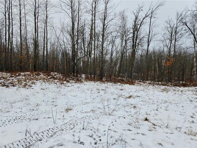 14928 S Fire Lane Ln, Danbury, WI 54830 - photo 5