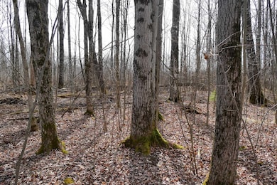 4.70 Acres Us Highway 8, Prentice, WI 54556 - photo 6