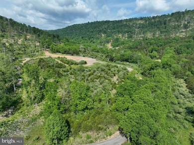 686.10 ACRES Thorn Bottom Rd, Wardensville, WV 26851 - photo 6