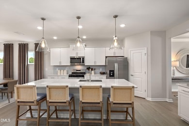 PO Mitchell Model (13)