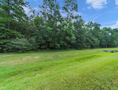 28506 Waterbend Way, Spring, TX 77386 - photo 6