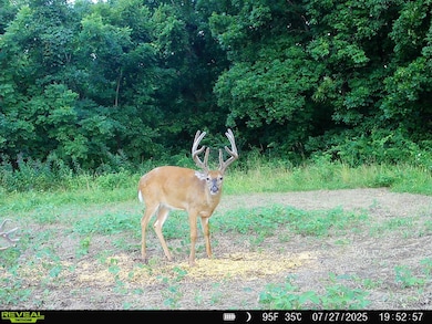 State Highway D (82 1+ - Acres unit Tract 4, Eolia, MO 63344 - photo 3