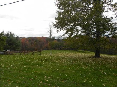 Yard/Garden.