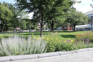 Vermont House Condos unit 509, Burlington, VT 05401 - photo 3