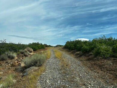 000 Currant Creek Rd, Cedaredge, CO 81413 - photo 4