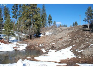 0 Timber unit 68 12326467, Bickleton, WA 99322 - photo 4