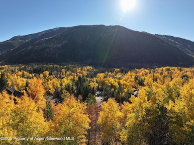 602 Mountain Laurel Dr, Aspen, CO 81611 - photo 3