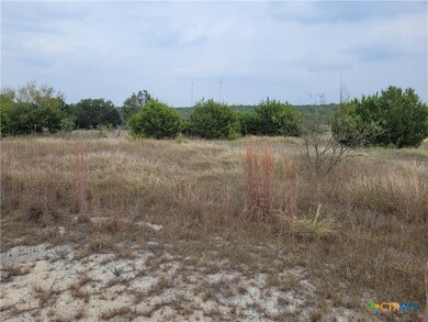 1145 County Road 4006, Lampasas, TX 76550 - photo 7
