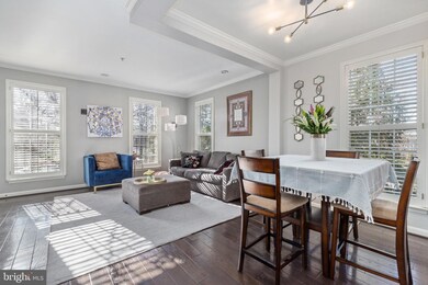 735 Massey Ln unit A, Alexandria, VA 22314 - photo 4