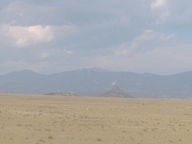 0 Mockingbird Ln, Hartsel, CO 80449 - photo 3