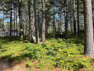 16 Red Barron Rd, West Ossipee, NH 03890 - photo 6