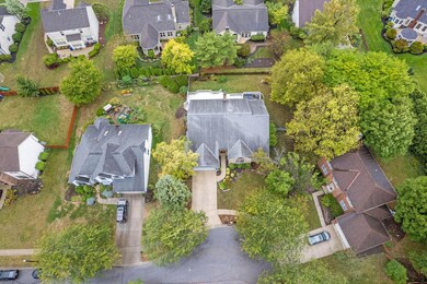 4-web-or-mls-DJI_0033